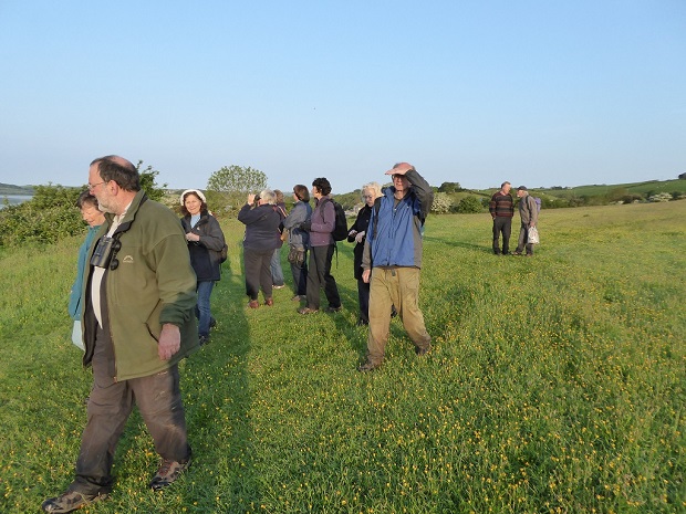 Dawn chorus at points field (Garry lewis CWT)